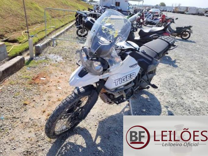 TRIUMPH TIGER 20/20